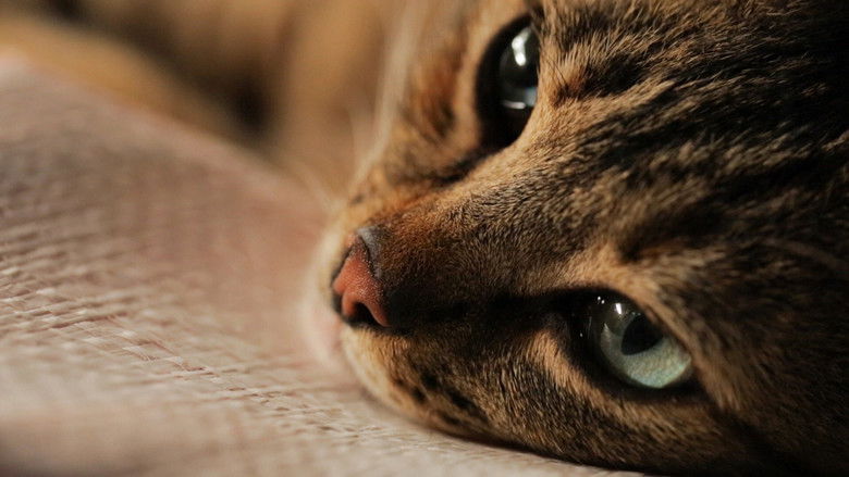 кадр из фильма Город кошек