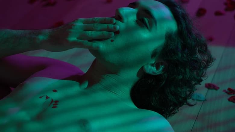 кадр из фильма O Bosque dos Sonâmbulos