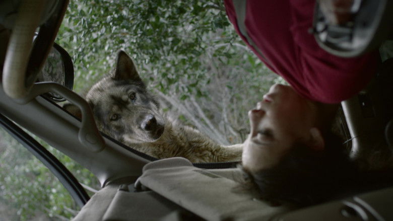 кадр из фильма Перевёрнутая