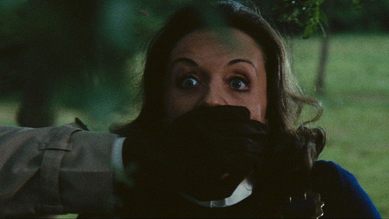 кадр из фильма Окровавленная бабочка