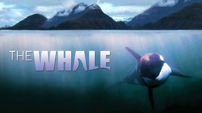 кадр из фильма The Whale