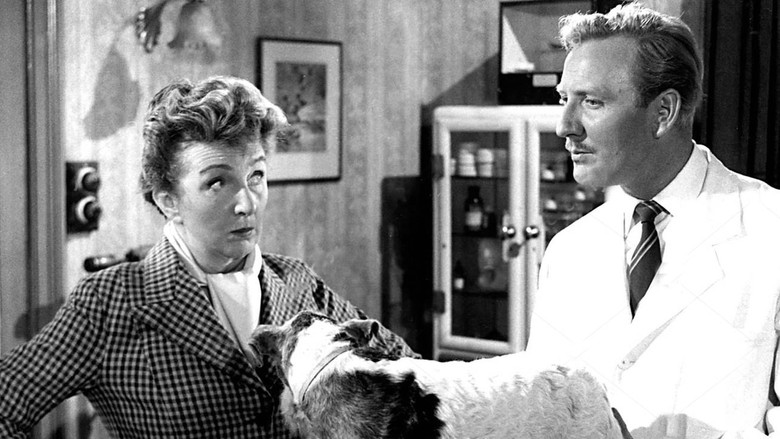 кадр из фильма In the Doghouse