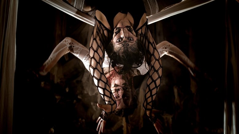 кадр из фильма Arachne