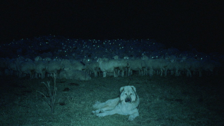 кадр из фильма The Wind Blows Wherever It Wants