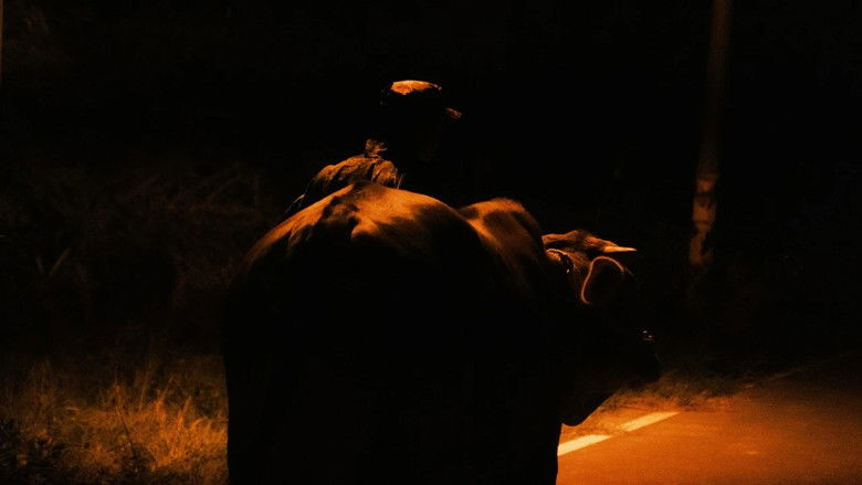 кадр из фильма 這不是我的牛