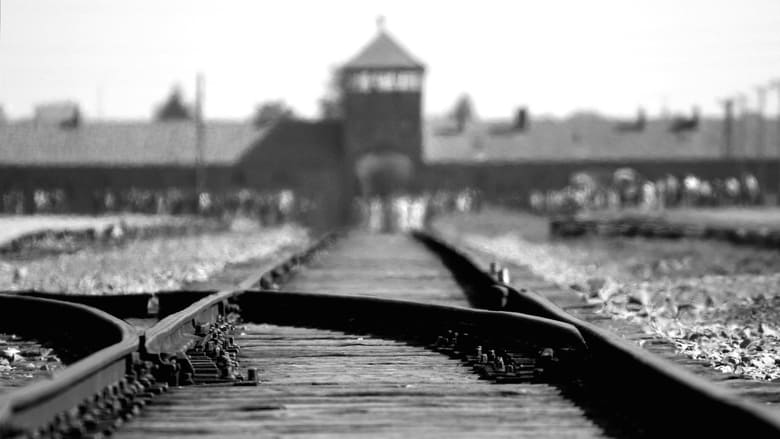 кадр из фильма The Escape from Auschwitz