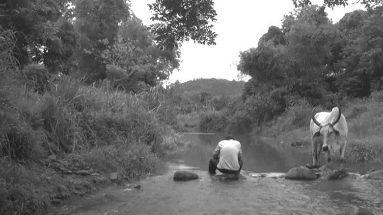 кадр из фильма Heremias: Unang Aklat - Ang Alamat ng Prinsesang Bayawak