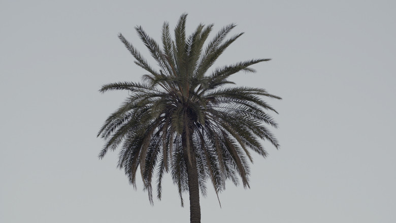 кадр из фильма Le Premier Mouvement de l'immobile