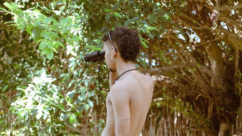 кадр из фильма Objetos no Espelho