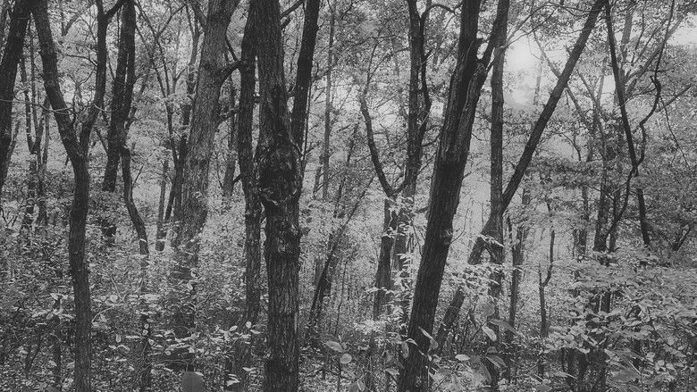 кадр из фильма Mizziri Mike