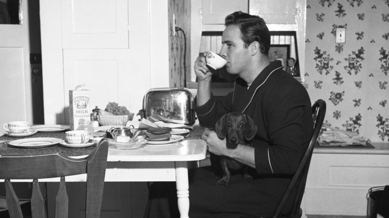 кадр из фильма Послушай меня, Марлон