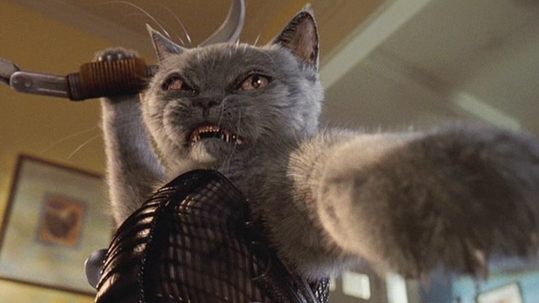 кадр из фильма Кошки против собак