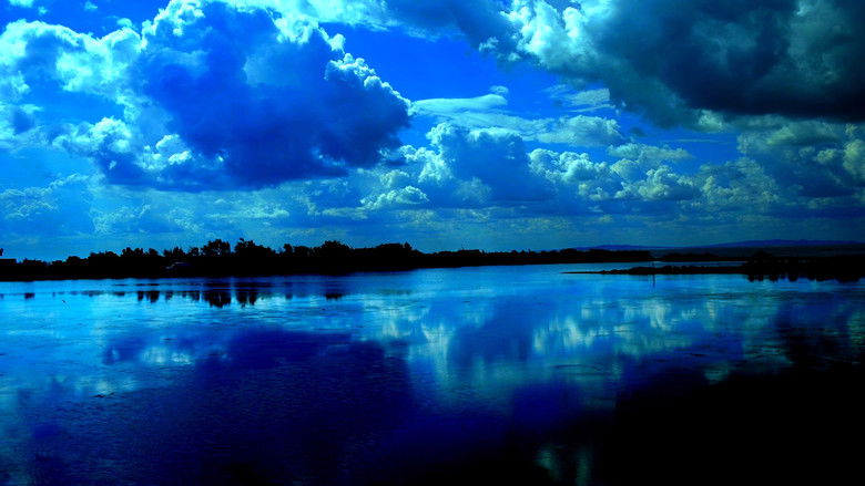 кадр из фильма Образ и речь