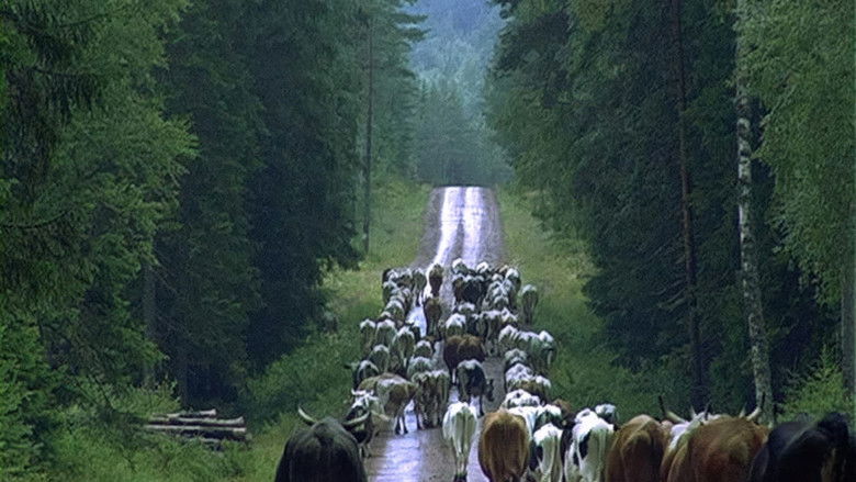 кадр из фильма Naturens gång