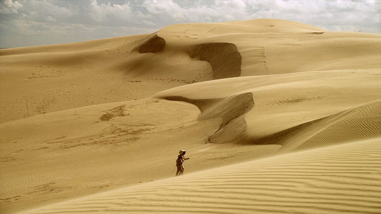 кадр из фильма T.I.M.