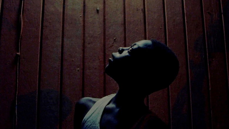 кадр из фильма Dadli