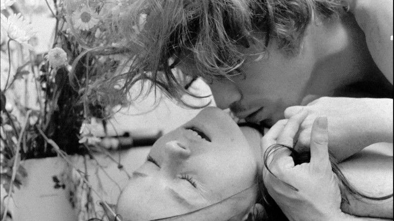 кадр из фильма Amor e Medo