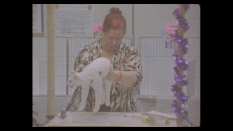 кадр из фильма Considering Cats