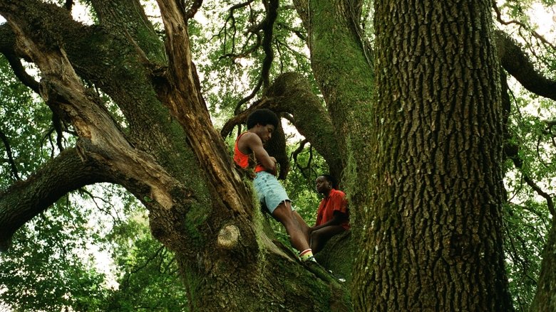 кадр из фильма Все грунтовые дороги имеют привкус соли
