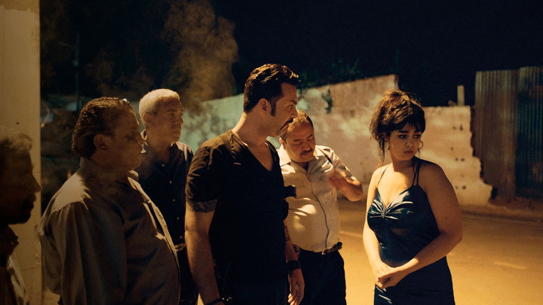 кадр из фильма Красавица и псы