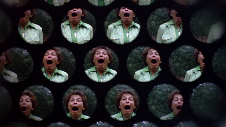 кадр из фильма Империя муравьёв