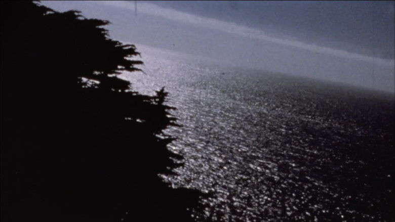 кадр из фильма Arbor Vitae