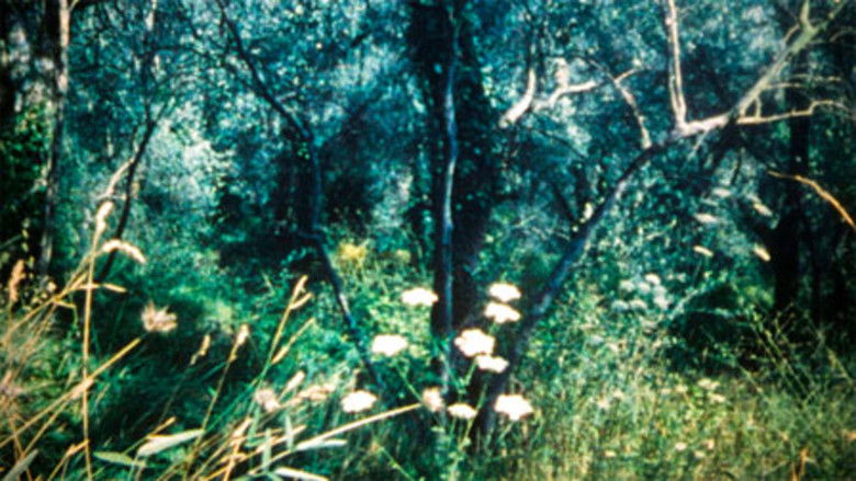 кадр из фильма Villatalla