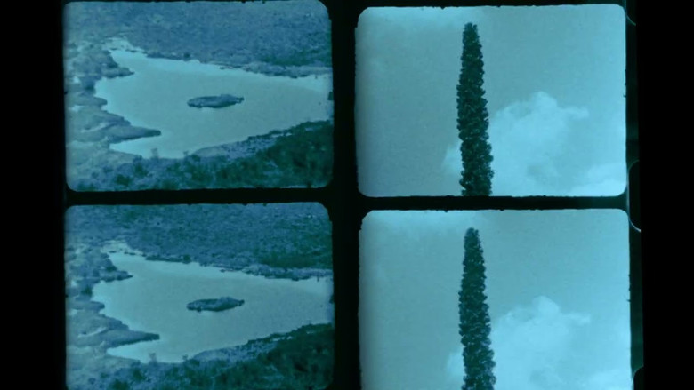 кадр из фильма Afluente