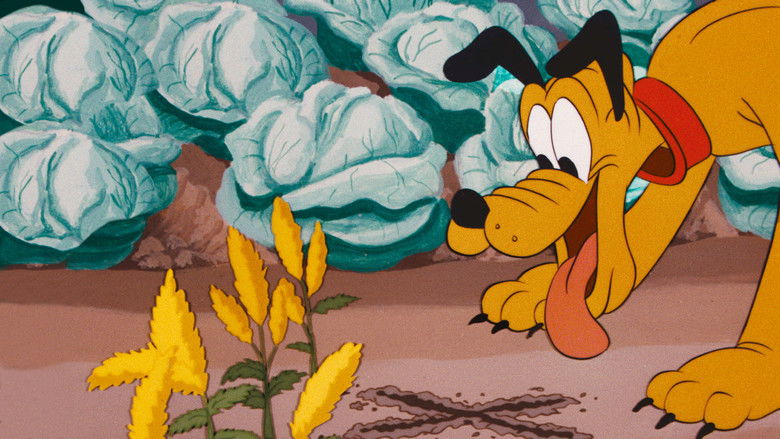 кадр из фильма Bone Bandit