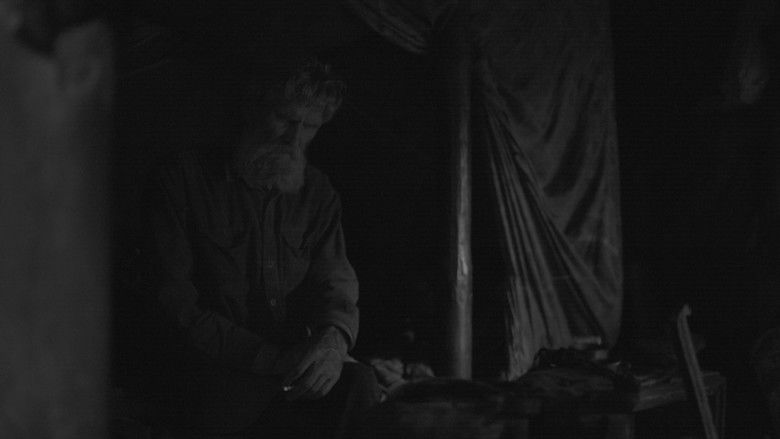 кадр из фильма Отшельник