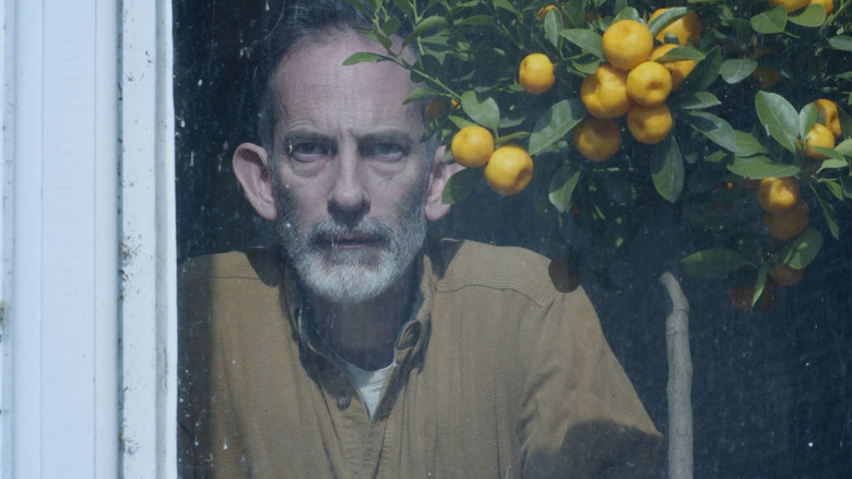 кадр из фильма In The Moonlight