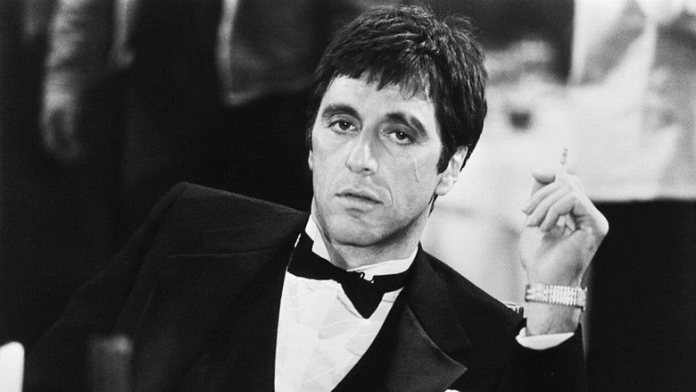 кадр из фильма Al Pacino : le Bronx et la fureur