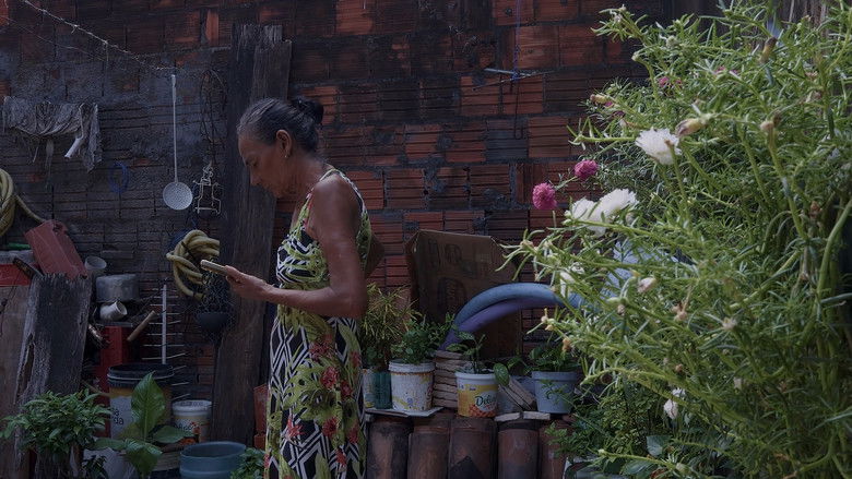 кадр из фильма LUZA