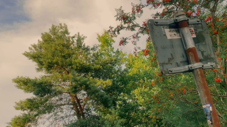 кадр из фильма No Men‘s World