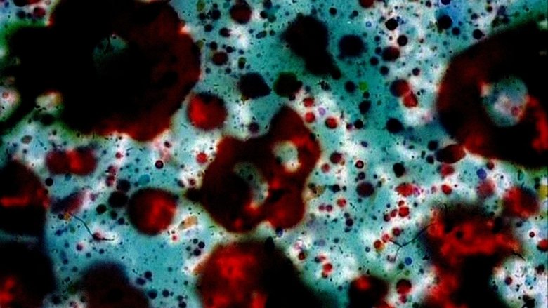 кадр из фильма … ere erera baleibu izik subua aruaren…