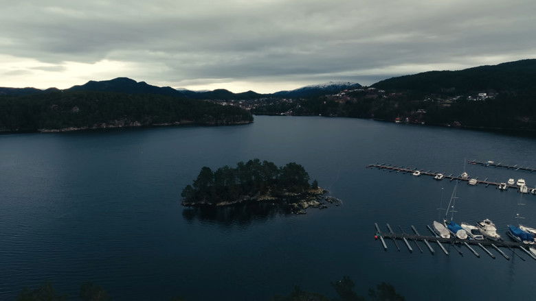 кадр из фильма Portrait of a Song