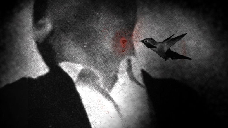 кадр из фильма Creo que dije «sí»