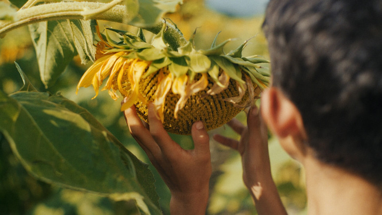 кадр из фильма I fiori non hanno le scarpe