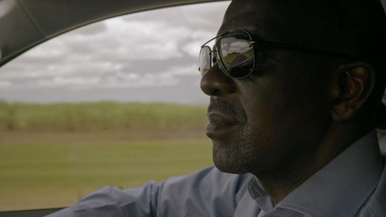 MK : l'armée secrète de Mandela