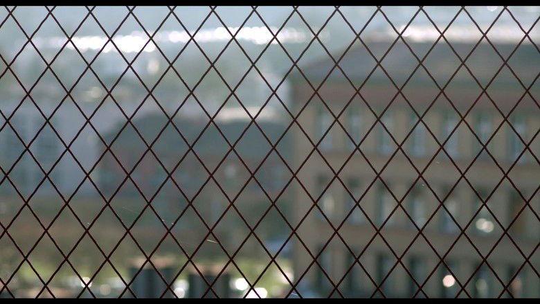 кадр из фильма Nos Liens