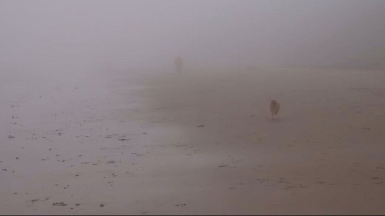 кадр из фильма The Pebble