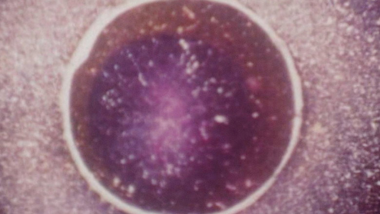 кадр из фильма S/Título