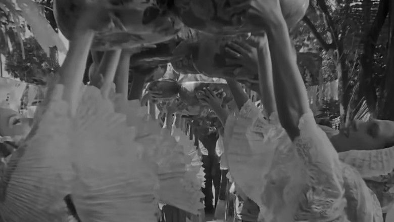 кадр из фильма La zandunga