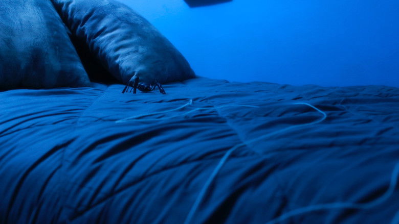 кадр из фильма Aracne (ou a araña que non podía tecer)