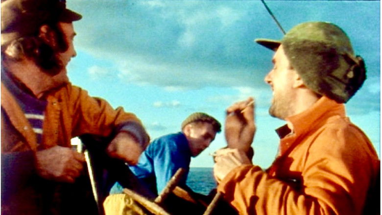 кадр из фильма In Fading Light