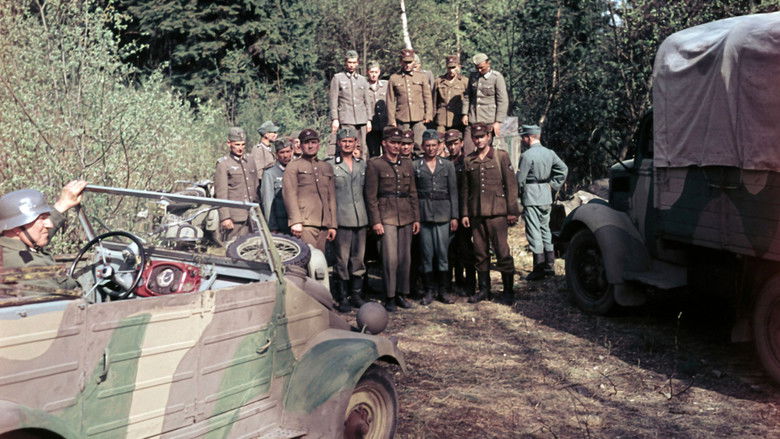 кадр из фильма Последний свидетель