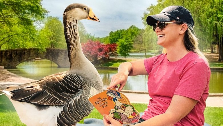 кадр из фильма Honk