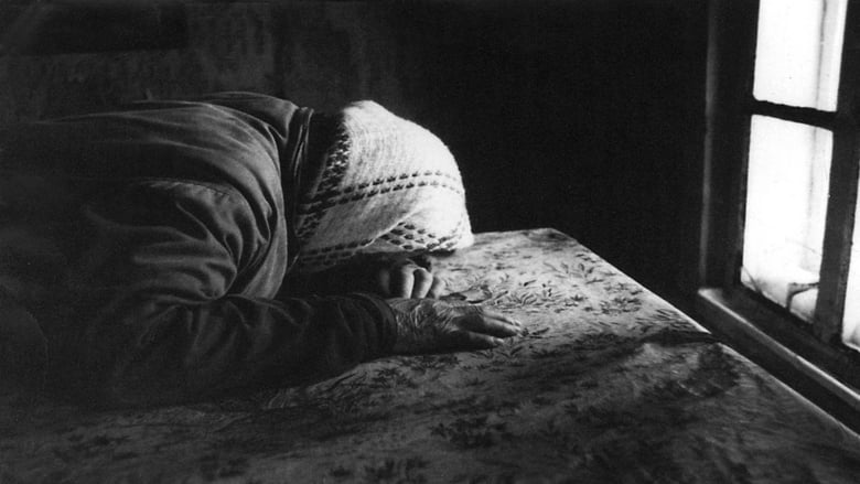 кадр из фильма Беловы