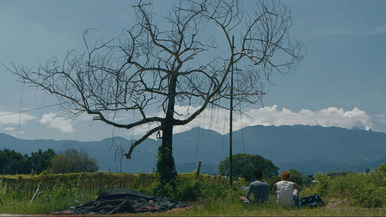 кадр из фильма 富都青年