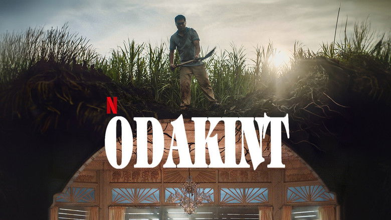 кадр из фильма Снаружи